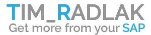 Tim Radlak - get more from your SAP